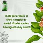 ASHWAGANDHA-TOP DE VENTA EN GUATEMALA